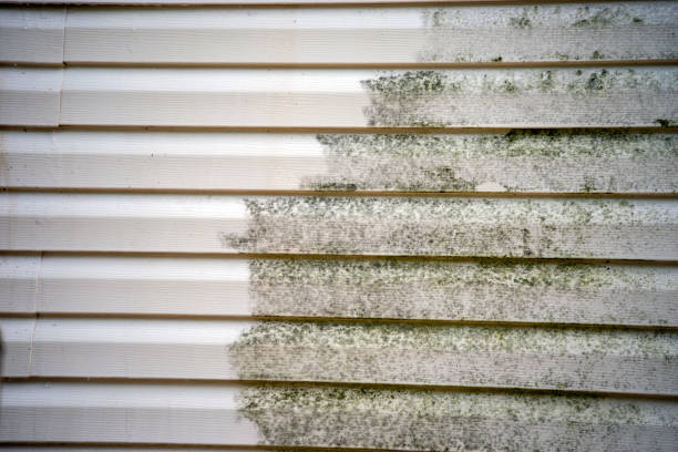 Best Fiber Cement Siding Installation  in Shorewood Hills, WI
