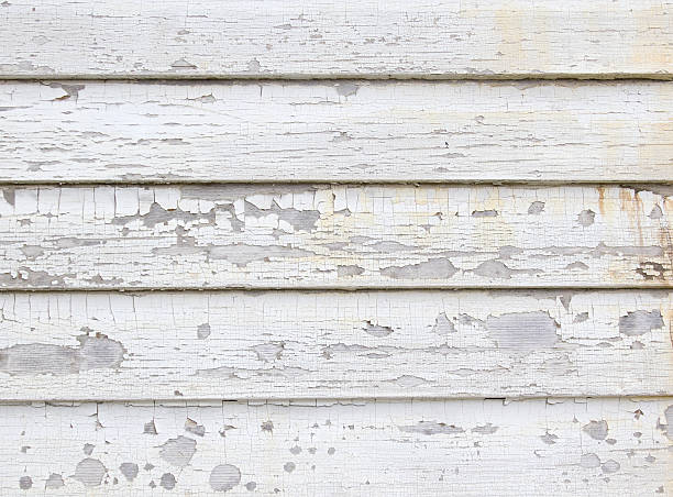Best Insulated Siding Installation  in Shorewood Hills, WI