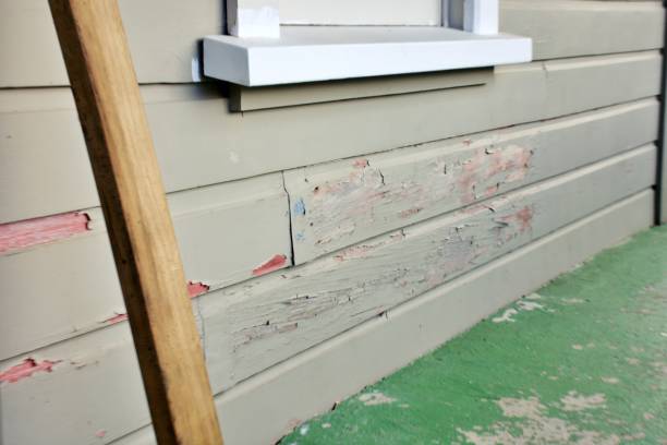 Best Steel Siding Installation  in Shorewood Hills, WI